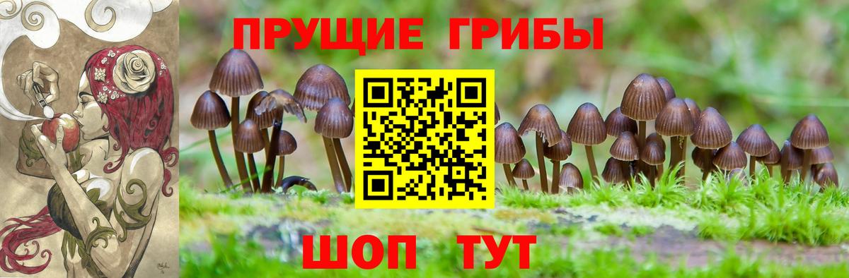 Псилоцибиновые грибы прущие грибы  Галлюциногенные грибы Psilocybe  Кизляр  Вход с VPN 