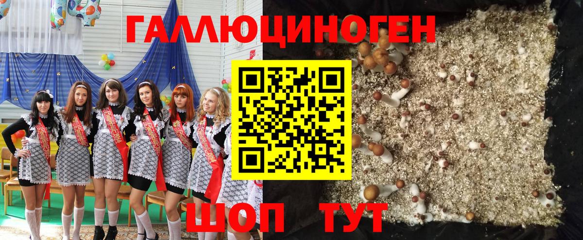 Псилоцибиновые грибы мухоморы Кизляр