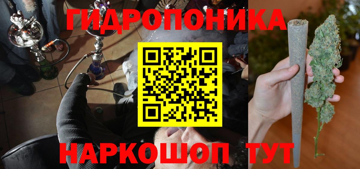 Каннабис гибрид Кизляр